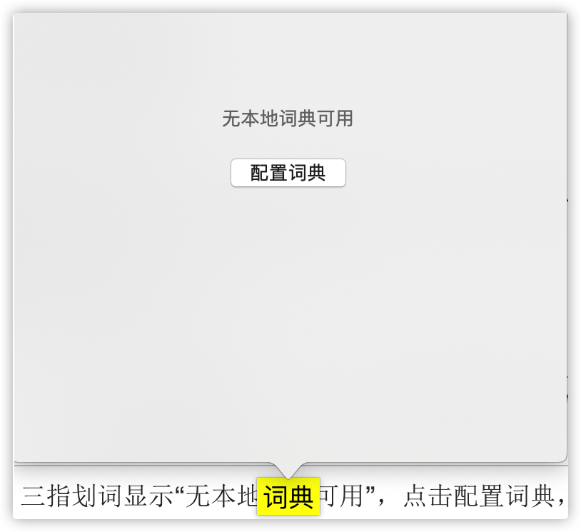 无本地词典可用